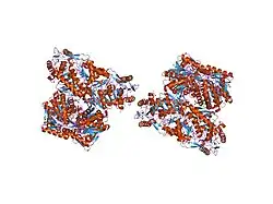 1o05: Apo form of human mitochondrial aldehyde dehydrogenase