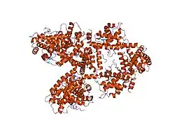 1o9k: CRYSTAL STRUCTURE OF THE RETINOBLASTOMA TUMOUR SUPPRESSOR PROTEIN BOUND TO E2F PEPTIDE