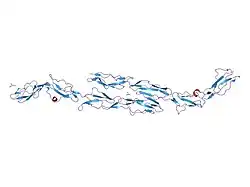 1ojw: DECAY ACCELERATING FACTOR (CD55): THE STRUCTURE OF AN INTACT HUMAN COMPLEMENT REGULATOR.