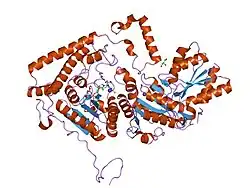 1ols: ROLES OF HIS291-ALPHA AND HIS146-BETA' IN THE REDUCTIVE ACYLATION REACTION CATALYZED BY HUMAN BRANCHED-CHAIN ALPHA-KETOACID DEHYDROGENASE
