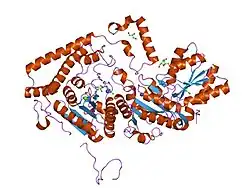 1olu: ROLES OF HIS291-ALPHA AND HIS146-BETA' IN THE REDUCTIVE ACYLATION REACTION CATALYZED BY HUMAN BRANCHED-CHAIN ALPHA-KETOACID DEHYDROGENASE