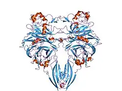 1olz: THE LIGAND-BINDING FACE OF THE SEMAPHORINS REVEALED BY THE HIGH RESOLUTION CRYSTAL STRUCTURE OF SEMA4D