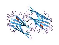 1om9: Structure of the GGA1-appendage in complex with the p56 binding peptide