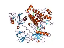 1opk: Structural basis for the auto-inhibition of c-Abl tyrosine kinase