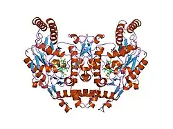 1p6j: Rat neuronal NOS heme domain with L-N(omega)-nitroarginine-(4R)-amino-L-proline amide bound