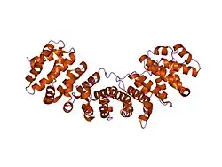 1pjn: Mouse Importin alpha-bipartite NLS N1N2 from Xenopus laevis phosphoprotein Complex