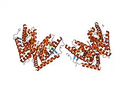1pqc: HUMAN LXR BETA HORMONE RECEPTOR COMPLEXED WITH T0901317