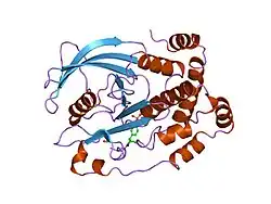 1ptt: CRYSTAL STRUCTURE OF PROTEIN TYROSINE PHOSPHATASE 1B COMPLEXED WITH PHOSPHOTYROSINE-CONTAINING TETRA-PEPTIDE (AC-DEPYL-NH2)