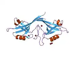 1q3o: Crystal structure of the Shank PDZ-ligand complex reveals a class I PDZ interaction and a novel PDZ-PDZ dimerization