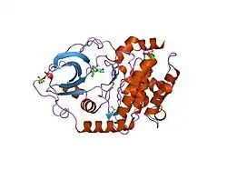 1q8w: The Catalytic Subunit of cAMP-dependent Protein Kinase in Complex with Rho-kinase Inhibitor Fasudil (HA-1077)