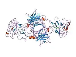 1qab: The structure of human retinol binding protein with its carrier protein transthyretin reveals interaction with the carboxy terminus of RBP