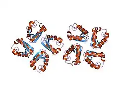 1qdw: N-TERMINAL DOMAIN, VOLTAGE-GATED POTASSIUM CHANNEL KV1.2 RESIDUES 33-119