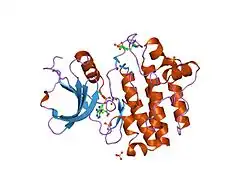 1qpc: STRUCTURAL ANALYSIS OF THE LYMPHOCYTE-SPECIFIC KINASE LCK IN COMPLEX WITH NON-SELECTIVE AND SRC FAMILY SELECTIVE KINASE INHIBITORS