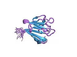 1r21: Solution Structure of human Ki67 FHA Domain