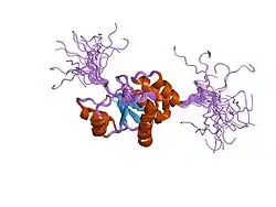 1r6h: Solution Structure of human PRL-3