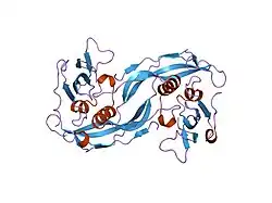 1rew: Structural refinement of the complex of bone morphogenetic protein 2 and its type IA receptor
