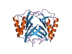 1rhp: CRYSTAL STRUCTURE OF RECOMBINANT HUMAN PLATELET FACTOR 4
