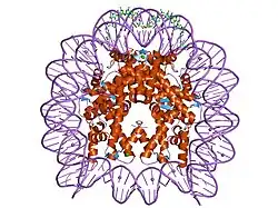 1s32: Molecular Recognition of the Nucleosomal 'Supergroove'