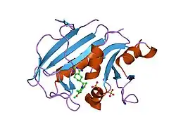 1s3v: Structure Determination of Tetrahydroquinazoline Antifolates in Complex with Human and Pneumocystis carinii Dihydrofolate Reductase: Correlations of Enzyme Selectivity and Stereochemistry