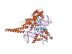 1sc7: Human DNA Topoisomerase I (70 Kda) In Complex With The Indenoisoquinoline MJ-II-38 and Covalent Complex With A 22 Base Pair DNA Duplex