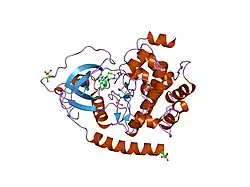 1svg: Crystal Structure of Protein Kinase A in Complex with Azepane Derivative 4