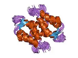 1sym: 3-D SOLUTION STRUCTURE OF REDUCED APO-S100B FROM RAT, NMR, 20 STRUCTURES
