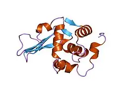 1tby: DISSECTION OF THE FUNCTIONAL ROLE OF STRUCTURAL ELEMENTS OF TYROSINE-63 IN THE CATALYTIC ACTION OF HUMAN LYSOZYME