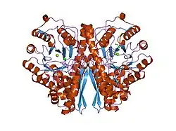 1te6: Crystal Structure of Human Neuron Specific Enolase at 1.8 angstrom