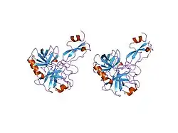 1tfx: COMPLEX OF THE SECOND KUNITZ DOMAIN OF TISSUE FACTOR PATHWAY INHIBITOR WITH PORCINE TRYPSIN