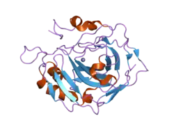 1tg9: Effect of Shuttle Location and pH Environment on H+ Transfer in Human Carbonic Anhydrase II