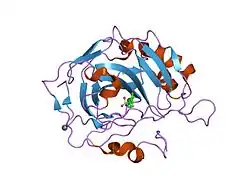 1ttm: Human carbonic anhydrase II complexed with 667-coumate