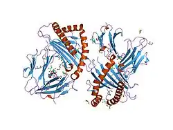 1tvh: Crystal structure of Modified Melanoma Antigen gp100(209-T2M) Bound to Human Class I MHC HLA-A2
