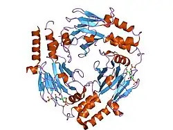 1u7f: Crystal Structure of the phosphorylated Smad3/Smad4 heterotrimeric complex