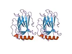 1uol: CRYSTAL STRUCTURE OF THE HUMAN P53 CORE DOMAIN MUTANT M133L/V203A/N239Y/N268D AT 1.9 A RESOLUTION.
