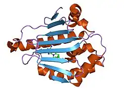 1uy8: HUMAN HSP90-ALPHA WITH 9-BUTYL-8-(3-TRIMETHOXY-BENZYL)-9H-PURIN-6YLAMINE