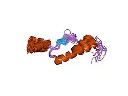 1vdj: Solution structure of actin-binding domain of troponin in Ca2+-bound state