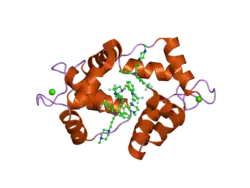 1wrk: Crystal structure of the N-terminal domain of human cardiac troponin C in complex with trifluoperazine (orthrombic crystal form)