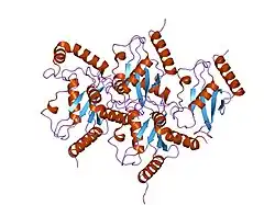 1x23: Crystal structure of ubch5c
