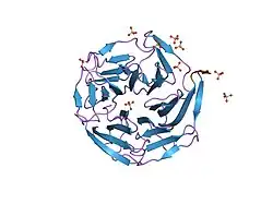 1x2r: Structural basis for the defects of human lung cancer somatic mutations in the repression activity of Keap1 on Nrf2