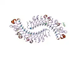 1xec: Dimeric bovine tissue-extracted decorin, crystal form 2