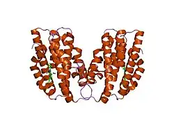 1xk3: NADPH- and Ascorbate-Supported Heme Oxygenase Reactions are Distinct. Regiospecificity of Heme Cleavage by the R183E Mutant