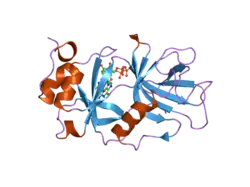 1xk5: Crystal structure of the m3G-cap-binding domain of snurportin1 in complex with a m3GpppG-cap dinucleotide