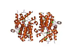 1xn0: Catalytic Domain Of Human Phosphodiesterase 4B In Complex With (R,S)-Rolipram