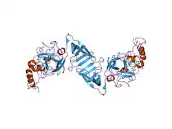1xqh: Crystal structure of a ternary complex of the methyltransferase SET9 (also known as SET7/9) with a P53 peptide and SAH