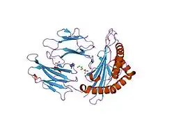 1xr9: Crystal Structures of HLA-B*1501 in Complex with Peptides from Human UbcH6 and Epstein-Barr Virus EBNA-3