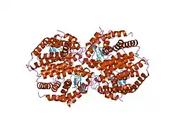 1xv9: crystal structure of CAR/RXR heterodimer bound with SRC1 peptide, fatty acid, and 5b-pregnane-3,20-dione.