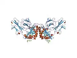 1xz0: Crystal structure of CD1a in complex with a synthetic mycobactin lipopeptide