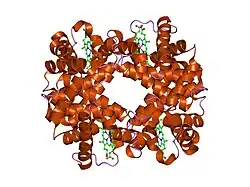 1y7z: T-To-T(High) quaternary transitions in human hemoglobin: betaN108A deoxy low-salt (1 test set)