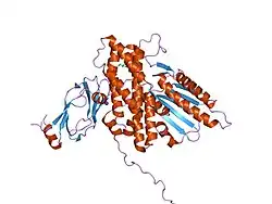 1y8n: Crystal structure of the PDK3-L2 complex