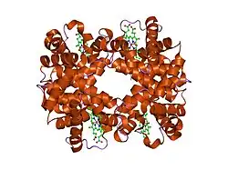 1yeo: T-To-T(High) quaternary transitions in human hemoglobin: betaW37A OXY (10 test sets)